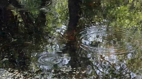 Mirror of water and drops fallin into a pond Vidéo 87092069
