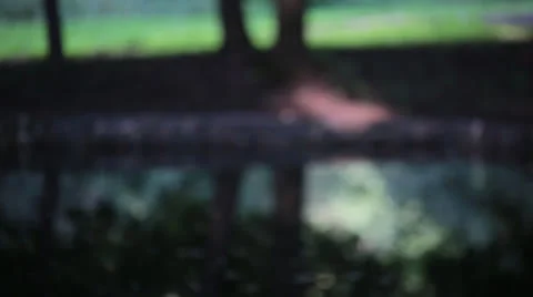 Mirror water Stock Footage 26184160