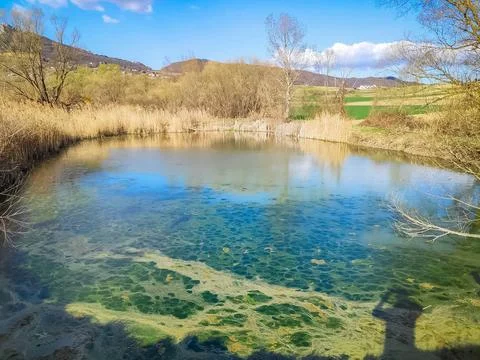 Mirror-Like Water Nature Reflection Photos