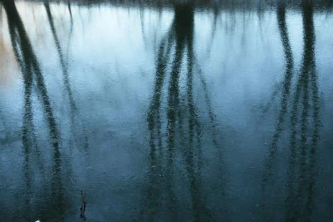 Mirror in water Stock Photos