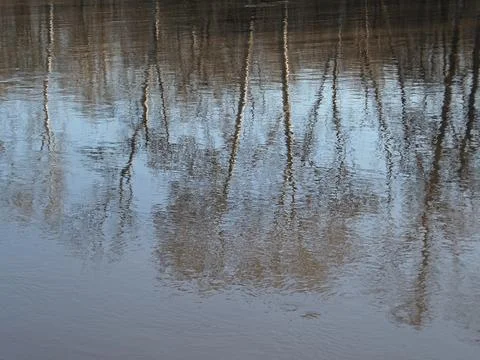 Mirror water surface with silhouettes of bare trees 写真素材