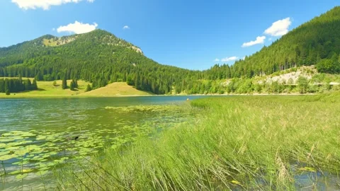 Mirror-Like Waters  Spitzingsee at Its Best on a Summer Day Stock Footage 308315520