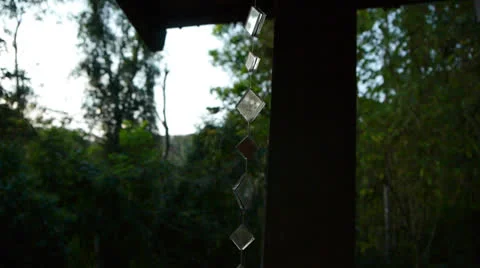 Mirror in the woods Stock Footage 27138459