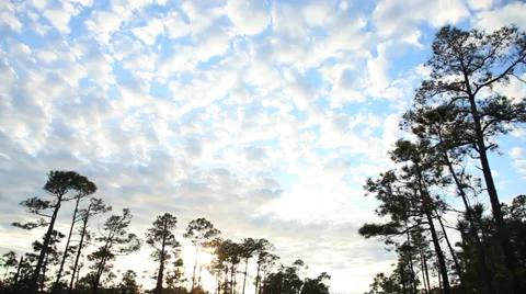 Mirrored Blue Sky Vídeos de archivo 36840145