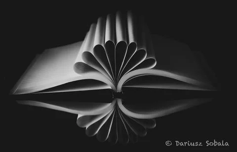 Mirrored Book Stock Illustration