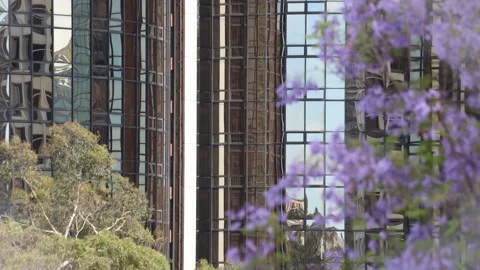 Mirrored Building With Old Elevator Rising Beyond Flower Tree Stock Footage 333935569