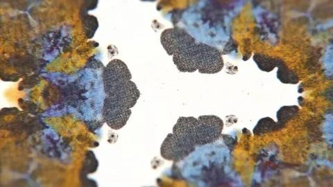 Mirrored ochre and blue textures growing into a star pattern Stock Footage 346778322