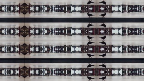 Mirrored People Walking Loop Stock Footage 109487014