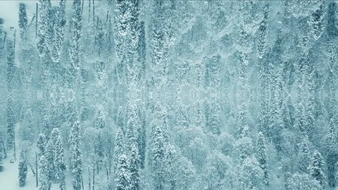 Mirrored Winter Forest Background Stock-Footage 112429700