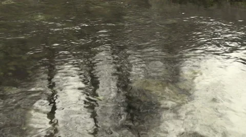 Mirroring in brook 스톡 동영상 62597759