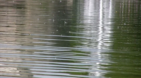 Mirroring in a lake 動画素材 34162112