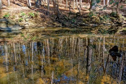Mirroring reflections in the water Stock Photos