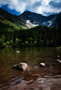 Mirroring on the surface of an alpine lake Stock Photos