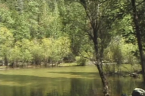 MirrorLakeYosemite Stock Footage 567398