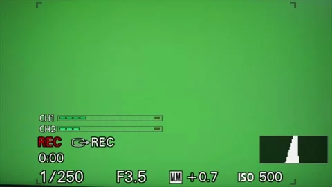 Mirrorless Viewfinder Frame Overlay Camera Recording Stock Footage 196245590