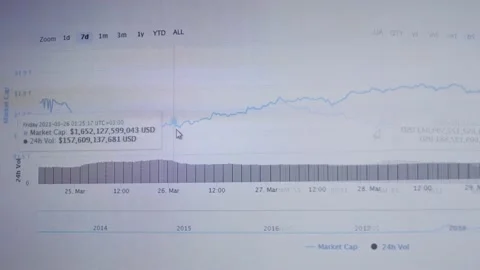 Mirrors effect of Financial template with generic data and charts. Animation Stock Footage 230138575