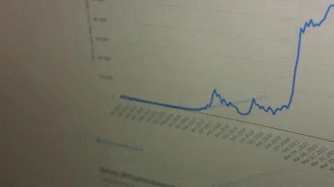 Mirrors effect of Financial template with generic data and charts. Animation Stock Footage 230140486