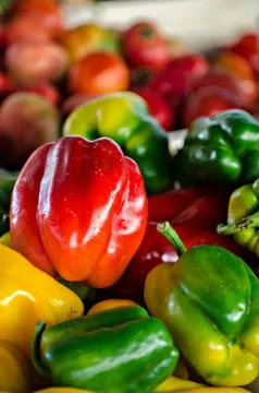 Miscellaneous colored peppers Stock Photos