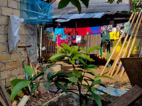 Miscellaneous Stock Photos