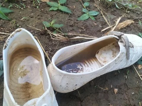 MISCELLENEOUS 스톡 사진