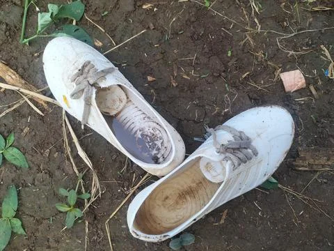 MISCELLENEOUS 스톡 사진