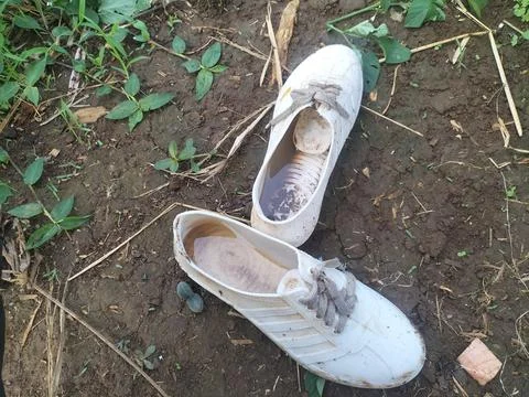 MISCELLENEOUS 스톡 사진