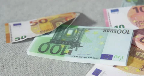 Mischievous dog in a leather jacket picks up a bundle of 100 euro banknotes with Stock Footage 201975137