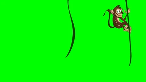 A mischievous monkey in forest hanging from ropes and jumping and going Stock Footage 286339258