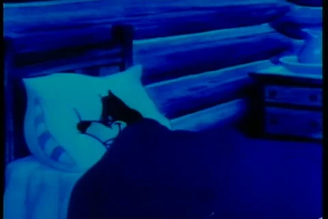 Mischievous rabbit pulls a fake thunderstorm prank Stock Footage 11345995