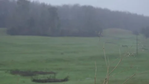 Miserable Cold Mist and Rain Stock Footage 229114522