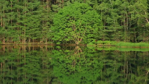 Mishirakawa Lakeside Stockbeeldmateriaal 330755643