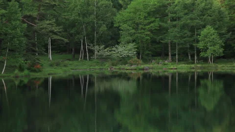 Mishirakawa Pond Stock-Footage 330759754