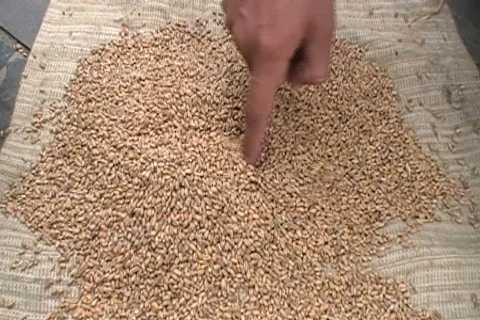 Mishok xlib Stock Footage 505573