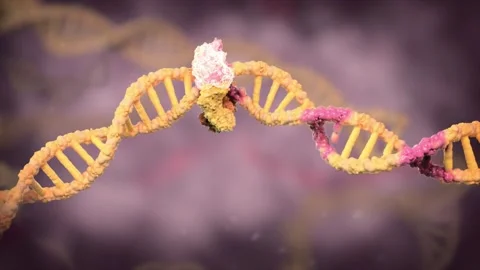 Mismatched genes cannot be repaired, leading to replication errors. Stock Footage 345199998