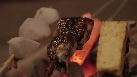 Miso Tachida meal Stock Footage 162233248