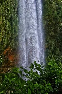Misol Ha Waterfall Stock Photos