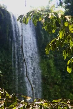 Misol Ha Waterfall Stock Photos