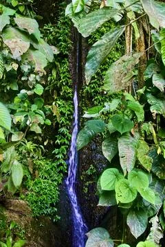 Misol Ha Waterfall Stock Photos