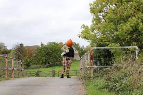 Miss Pumpkin head Stock Photos