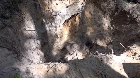 Missing in Action 動画素材 109535031