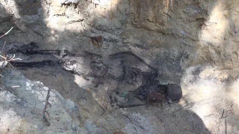 Missing in Action Stock Footage 109535037