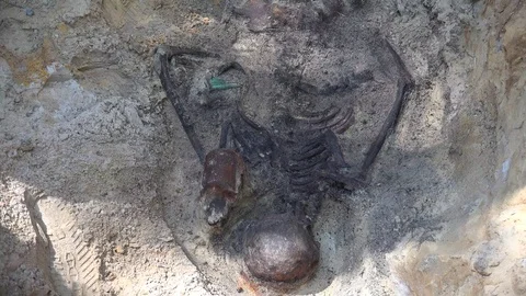 Missing in Action or Exhumation of WW I Soldiers 動画素材 109535035