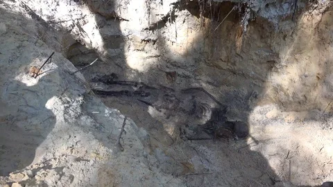 Missing in Action or World War Soldier 2 動画素材 109535040