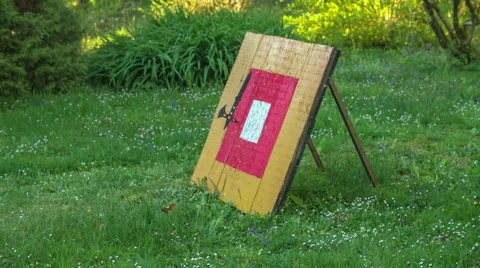 Missing and hitting a target Video stock 63081143