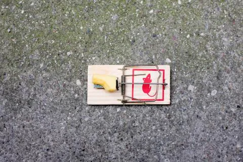 A missing bite from the cheese in a mousetrap Stock Photos