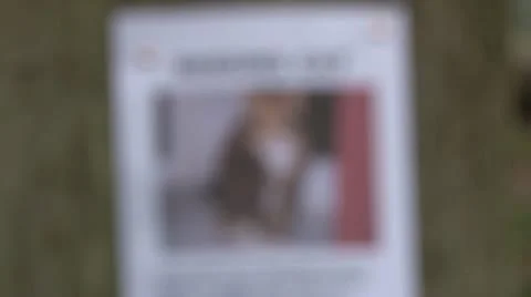 Missing Cat Poster Stock Footage 11527651