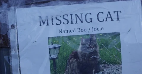 Missing cat poster on mailbox Stock Footage 79189517