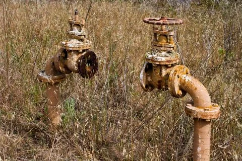 Missing Connection Photos