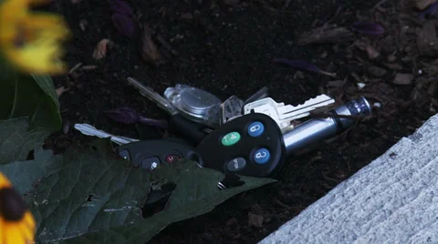 Missing Keys Stock Footage 32166623