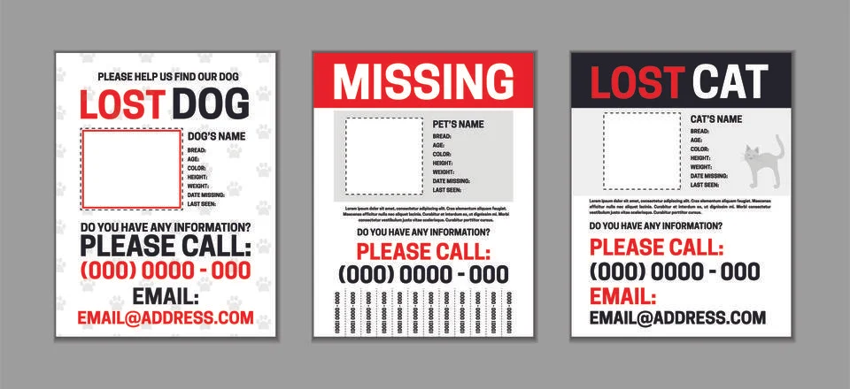 Missing or Lost Pet Page Template Set with Dog and Cat Design イラスト素材